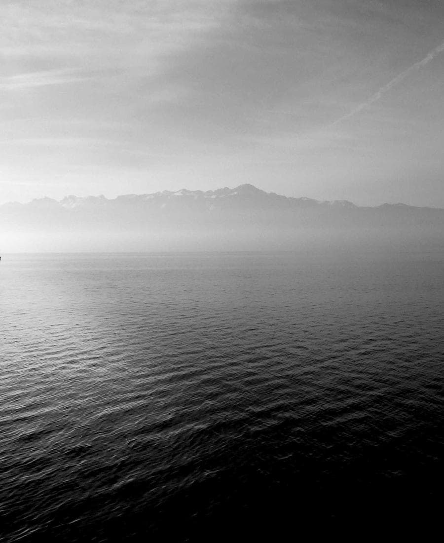 Mythic forest guardian