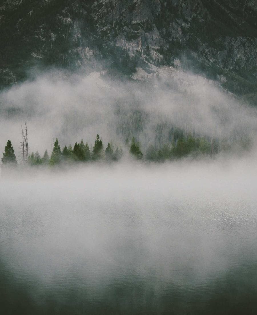 Celestial queen editorial pose